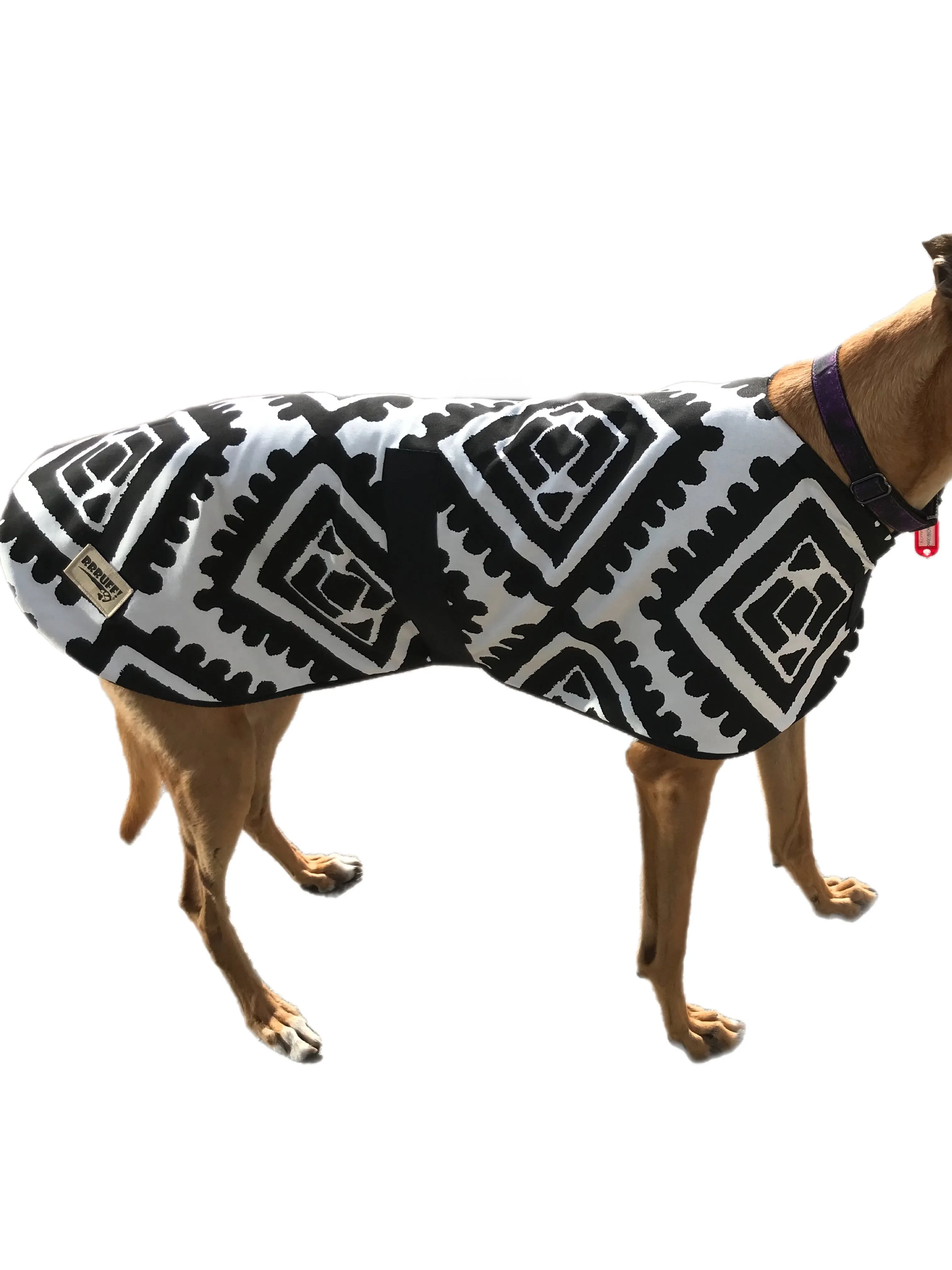 Black & white spring range classic style Greyhound coat in  cotton & fleece washable