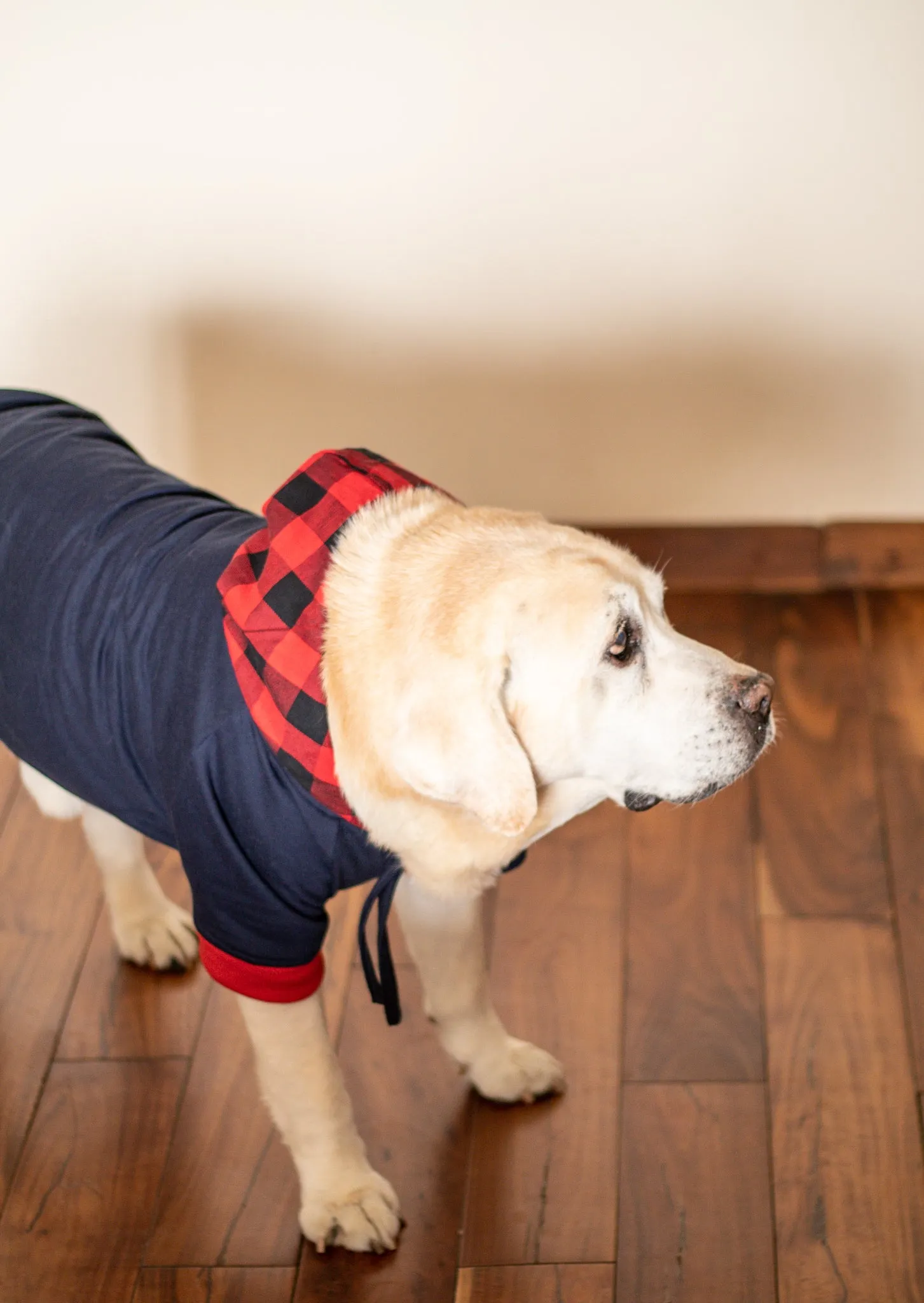 PoochMate Navy & Red Tartan Dog Sweatshirt